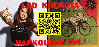 стаф Новозыбков
