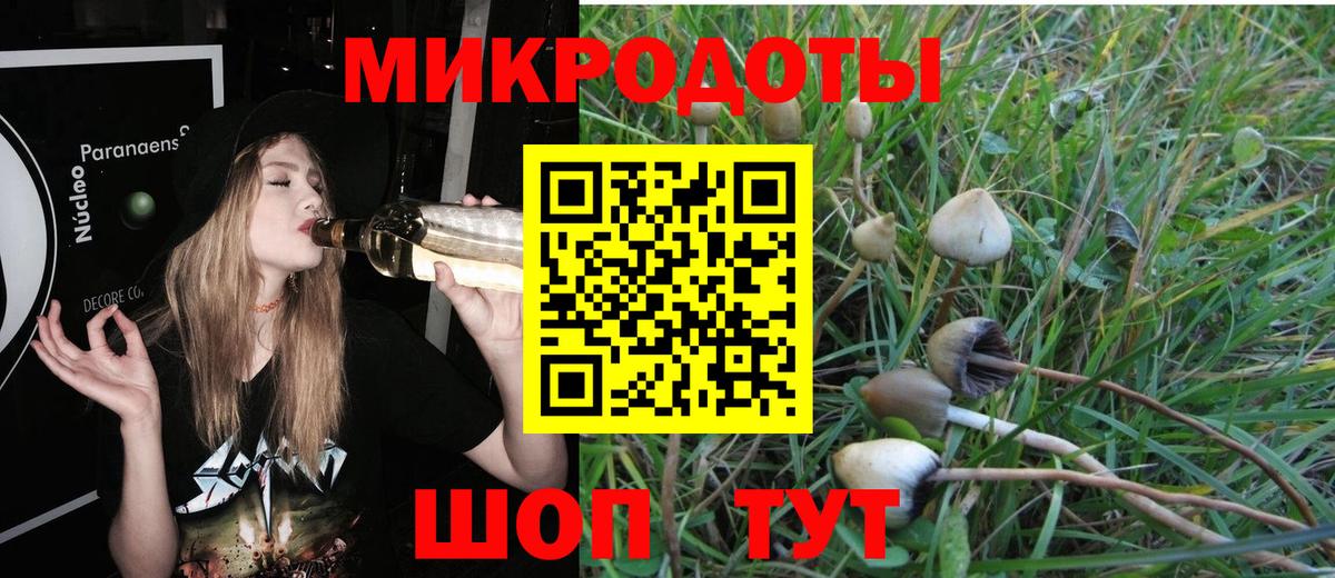 Галлюциногенные грибы прущие грибы  Вход с VPN  Сегежа  Галлюциногенные грибы мицелий 