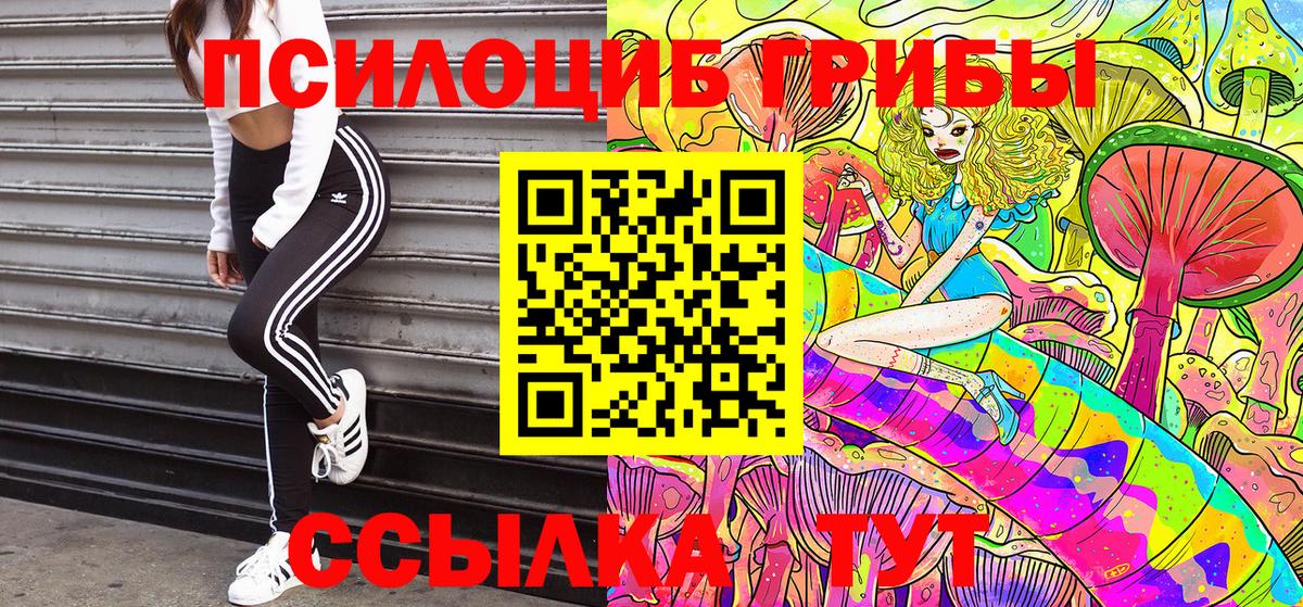 Галлюциногенные грибы прущие грибы Сегежа